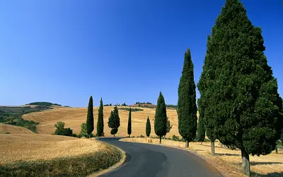 Do I need to rent a car to explore Tuscany's countryside?